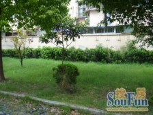 3房288万 全明户型 地铁 11号线600米 健身楼层