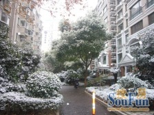 ?老静安苏州河景房,高区前后开阔无遮挡,出国诚售?