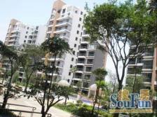 明珠广场 地铁 口 精装修 正规大三房 电梯洋房