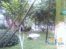 鱼洞 浩立半岛康城一房31万