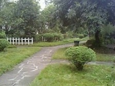 化龙社区 4室2厅 东南