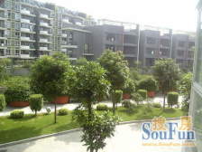 金山大桥,地铁口,电梯高层大4房,一线全江景无遮挡