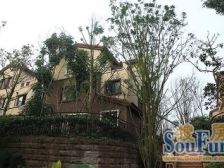 双拼,内圈中庭,临水系,带180㎡大花园,地势高