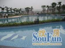 农业园区 皇洋伽蓝艺墅二期五房295万