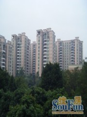 户型方正实用,通风性好,楼间距大,采光好!