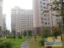 好日子大家园D区 2室2厅1卫 南