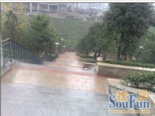 龙头寺 鲁能星城十二街区三房190万