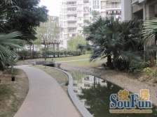 天元美树馆 3室1厅 南 北