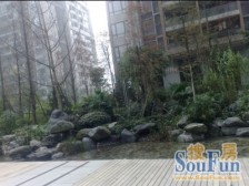 龙头寺 鲁能星城十二街区二房118万