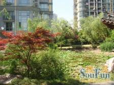 爱乐大厦3室南朝向830.00万元/套出售