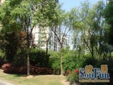 爱乐大厦3室2厅1卫南朝向950.00万元/套出售