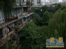 石坪桥后街 近地铁 位置好正两房 低楼层 老少皆宜