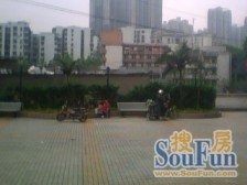 杨家坪步行街精装正规两房出行方便