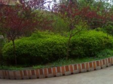 小区配套成熟,没有物业费,出行方便