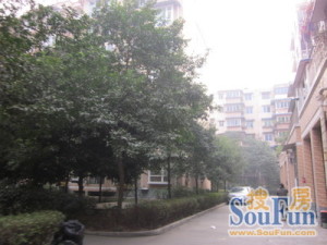 京龙名苑 2室2厅 东南