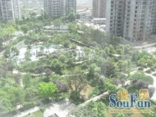 汽博中心 奥林匹克花园一期(雅典阳光)三房198万