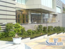 红土地黄泥磅少有的清水两室,采光很好,视野开阔