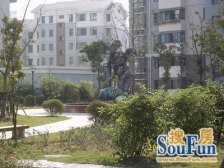 蓝色收获龙宇路999弄 3室1厅 南 北