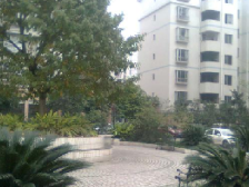 城南新区 缙和苑四房123万