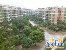 花园区好房 单边们望公园 带260方花园和车位一个