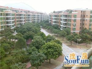花园区68方 南向 二次装修 出入方便