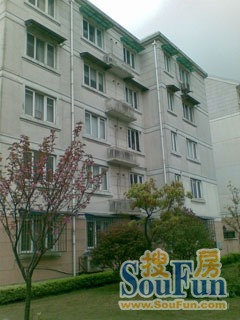 新江湾城时代花园