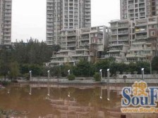 鲁能三街区带楚 糕*标顶跃装修保持好带楼顶露台7房4卫