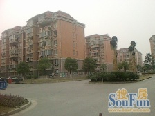 毛坯,家具全送 中间楼层 必看好房