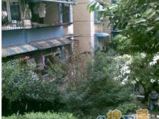 一号桥 钢铁设计院三房250万