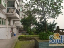 双龙大道 渝北两路 大房子安心卖