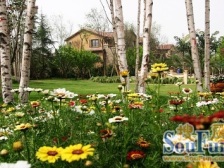 大学城龙湖睿城精装一室一厅,视野采光好