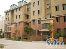 近地铁,电梯房 无抵押,新上房源