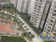 一线看江 精装3室2厅 家电齐全 拎包入住 看房方便