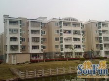 新房已定房东急售/南北通透/价格好谈/出门罗店老街啥都有