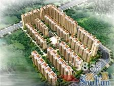 老街旁 两室两厅 南北通透 高绿化 无遮挡