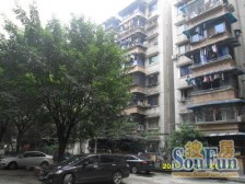 大坪 五棵树小区一房65万