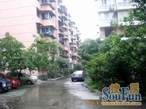 玉龙花园 4室1厅 西南