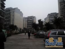 此房住家装修正两室,出行方便,无物业费,停车免费。