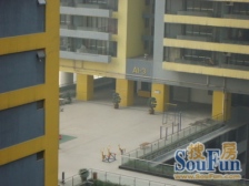 南滨路两江交汇处 正面看江 清水房可自己设计。