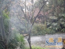 大坪 交通街一房24万