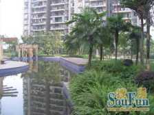 滩子口片区 广厦城B组团三房67万