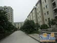 住家装修一楼带花园 一口价 安静宜居