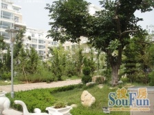 临轻轨 户型方正 交通便利 菜市场近