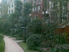 壹江城花园洋房带花园,地下室全采光6房3卫诚心出售