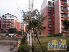 大竹林 水竹苑一房46万