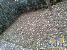 龙湖东桥郡内圈精装修+带地暖+现代轻奢风+诚心卖可谈