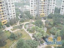 鲁能星城看湖洋房,精装四房 拎包入住,带8数