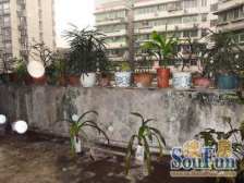 佣金3666元 步行街 金华大厦(大渡口)二房41万