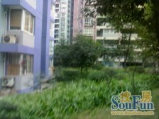 观音桥 瑜然星座一房43万