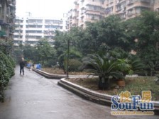 双龙大道 渝北两路 大房子安心卖